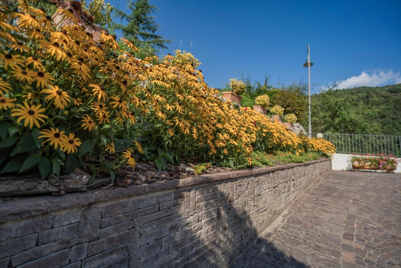 B&B Nonno Carlo Trento Exterior foto
