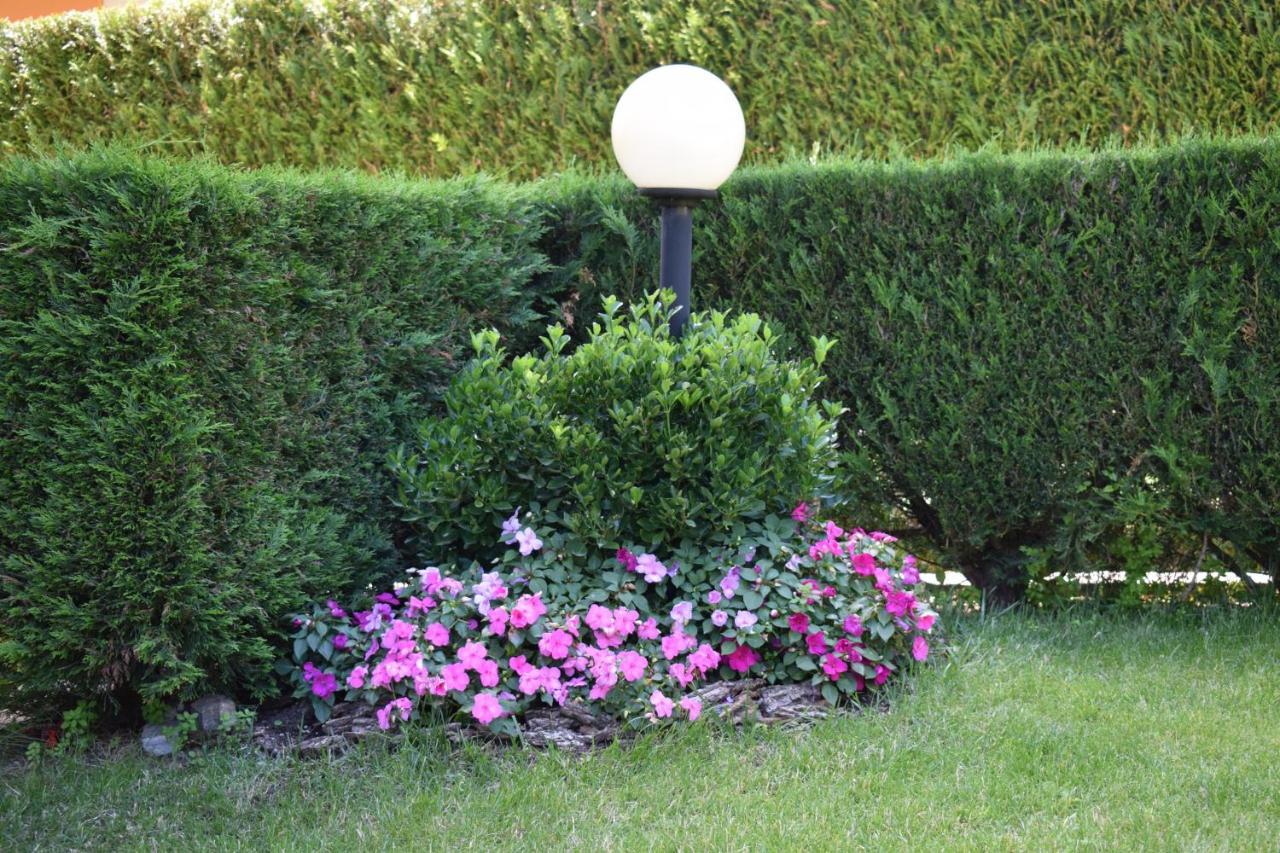 B&B Nonno Carlo Trento Exterior foto