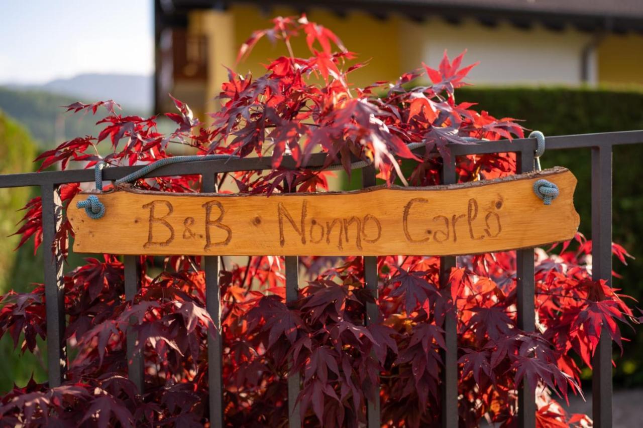 B&B Nonno Carlo Trento Exterior foto